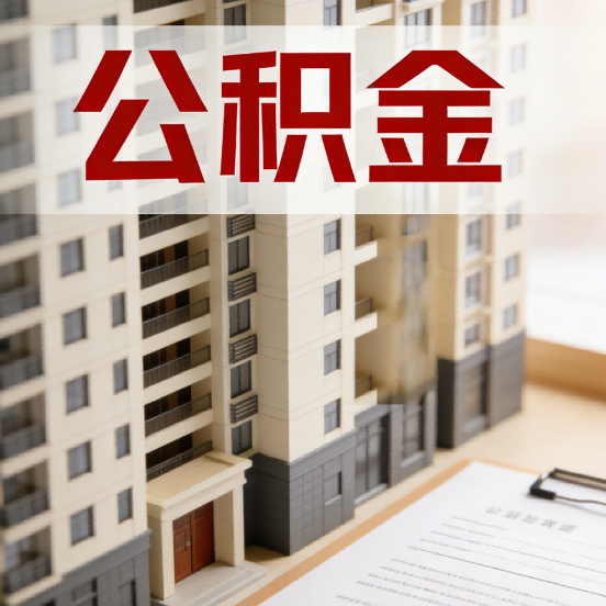 常德公积金代办行业新生态：从“跑腿中介”到“生活管家”的进化之路